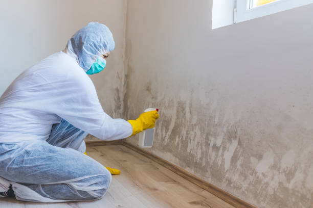 Mold Remediation specialist working in Columbia